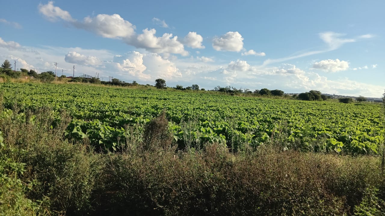 SENGATANE PLOT FOR SALE